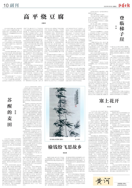 高平燒豆腐